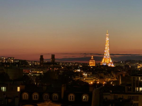 Top floor with Eiffel Tower view and roof top